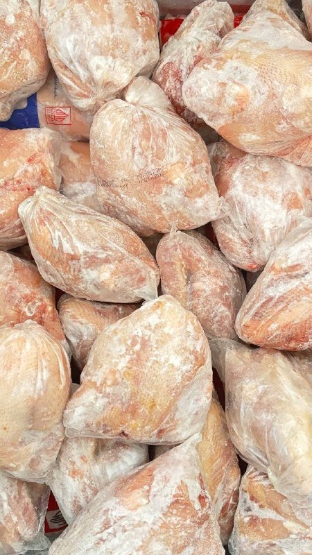 Ayam Karkas Berkualitas
